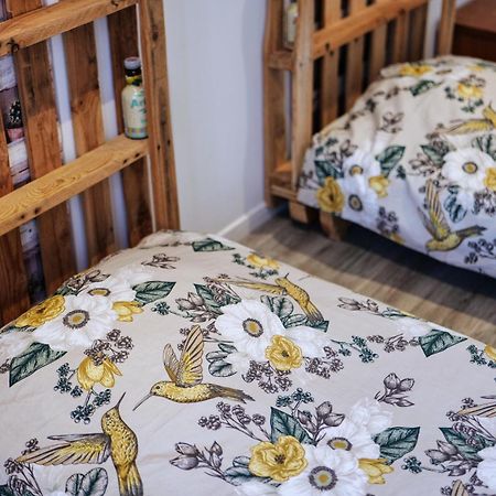 Gite Proche Du Canal Du Midi Et Narbonne 2 Chambres Mirepeisset Luaran gambar